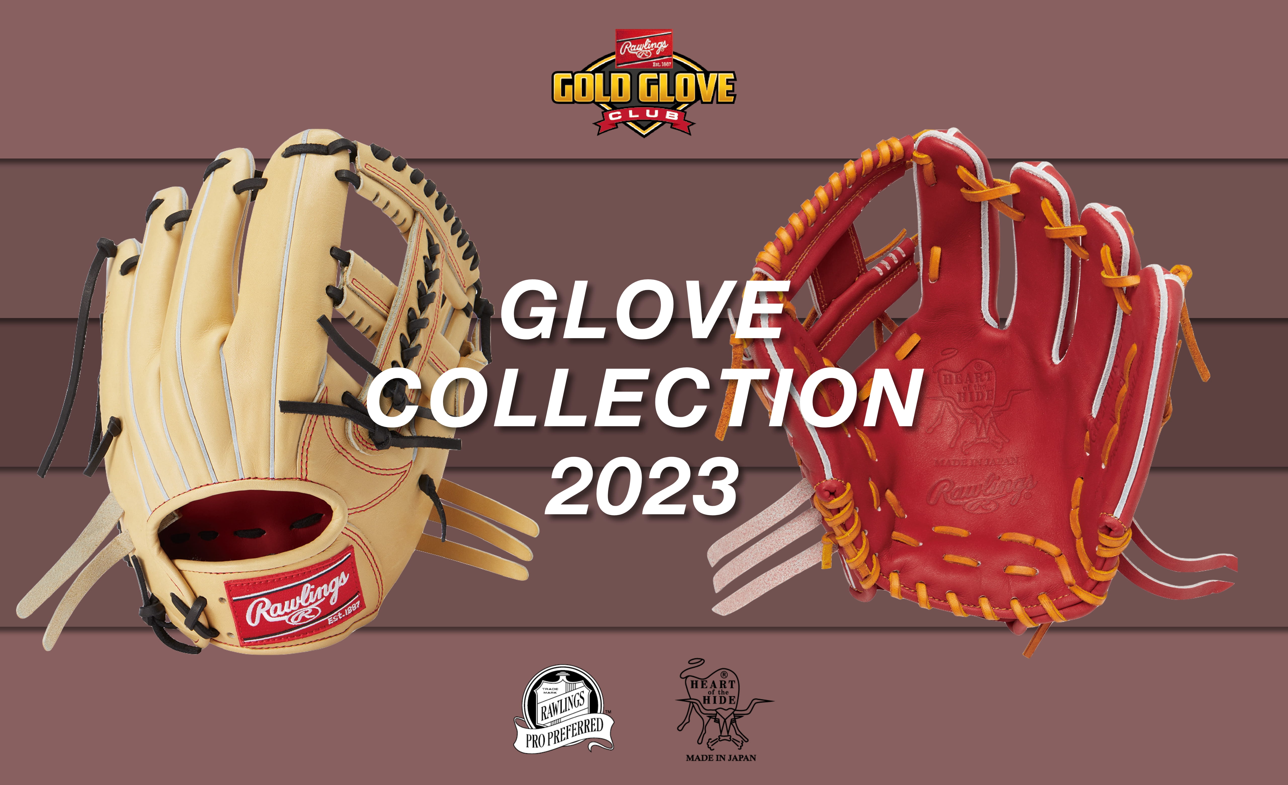 GLOVE COLLECTION 2023