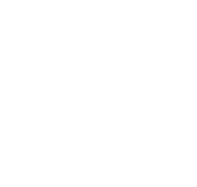 HEART OF THE HIDE