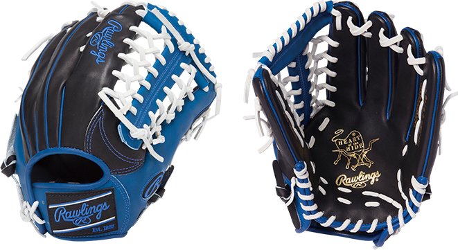 B/RY（ブラック/ロイヤル）