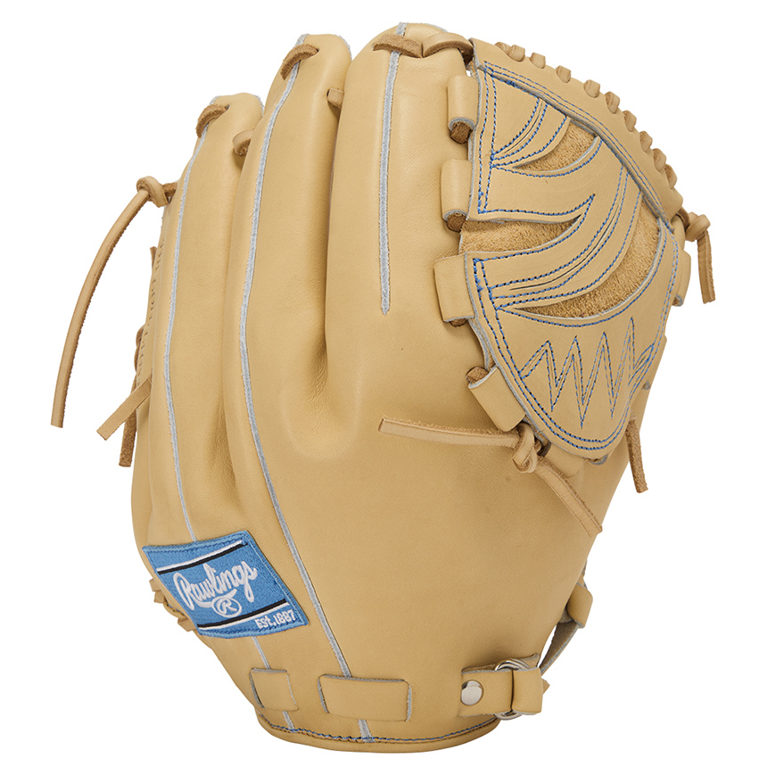 硬式グローブ (PRO PREFERRED) 投手用 GH6PRJ205FB