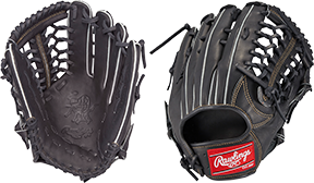 Rawlings DUAL PALM ファーストミット　グローブ pro_z_takumi01.png