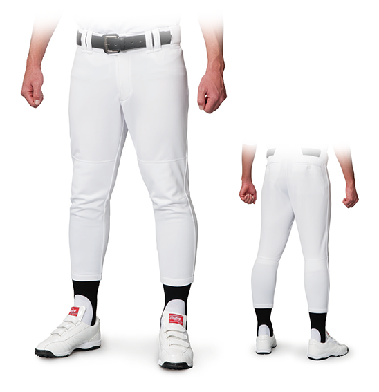 レギュラー画像