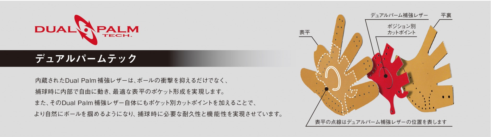 魅せる捕球が男前」新シリーズ12月1日（木）より発売開始！ | NEWS
