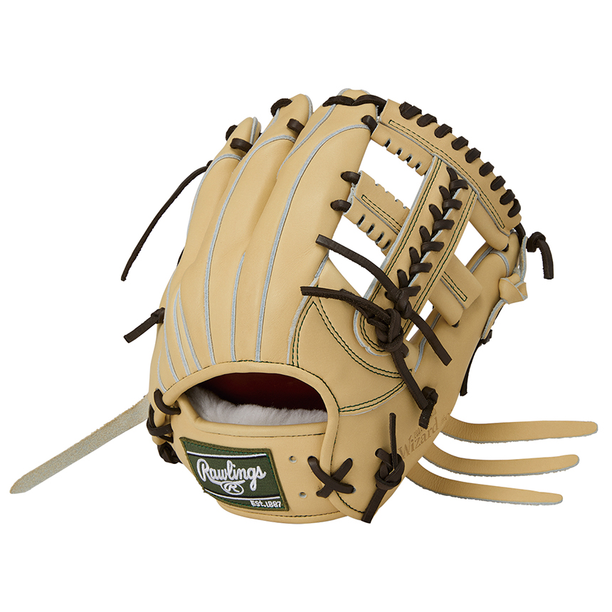Rawlings THE GOLD GLOVE 軟式グローブ 黒 グローブ