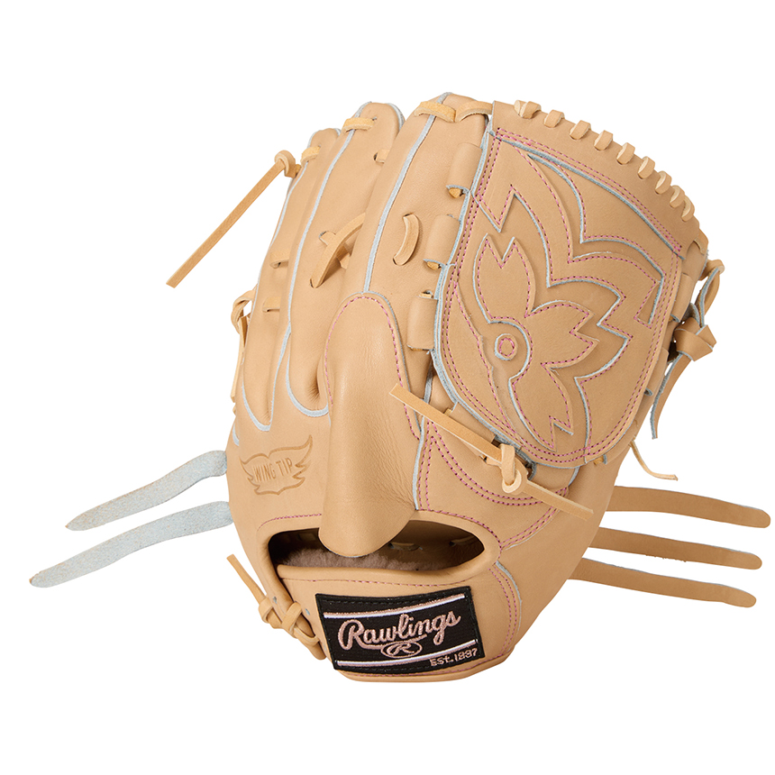 硬式 | グラブ | PRODUCTS | ローリングスジャパン - Rawlings