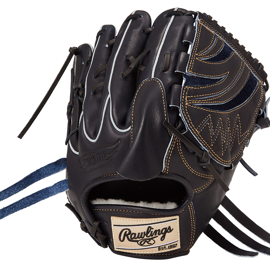 硬式 | グラブ | PRODUCTS | ローリングスジャパン - Rawlings